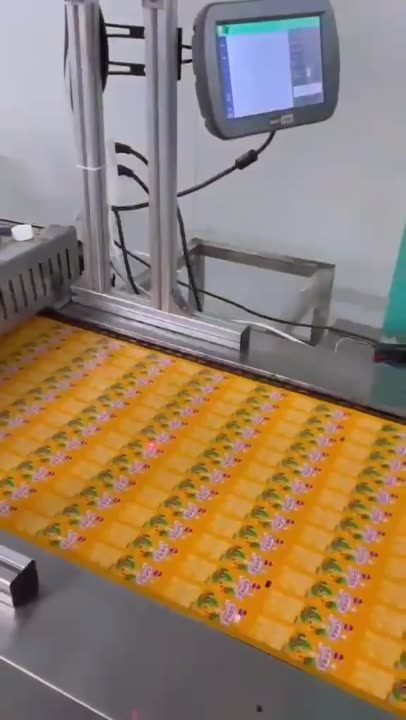 UV 龙门架 · 在线飞行打标